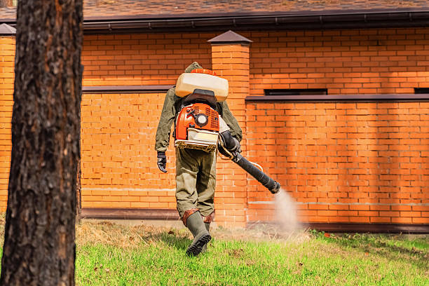 Trusted Mosquito Control service in Lowellville, OH - Nex Pest Control